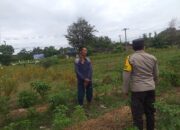 Polsek Kuripan Dukung Ketahanan Pangan Lewat Peran Bhabinkamtibmas