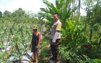 Sinergi Polri dan Masyarakat Wujudkan Ketahanan Pangan di Lombok Barat