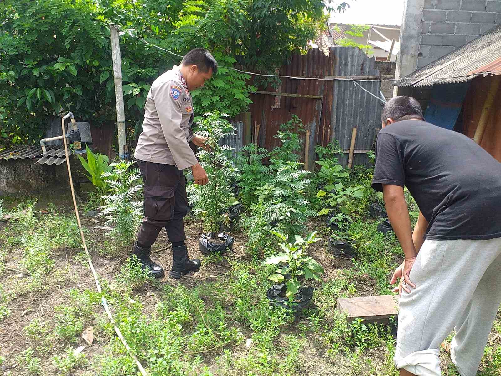 Polri dan Warga Bersinergi Wujudkan Kemandirian Pangan di Jagaraga