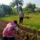Bhabinkamtibmas Karang Bongkot Aktif Dorong Warga Manfaatkan Lahan untuk Program Pemerintah