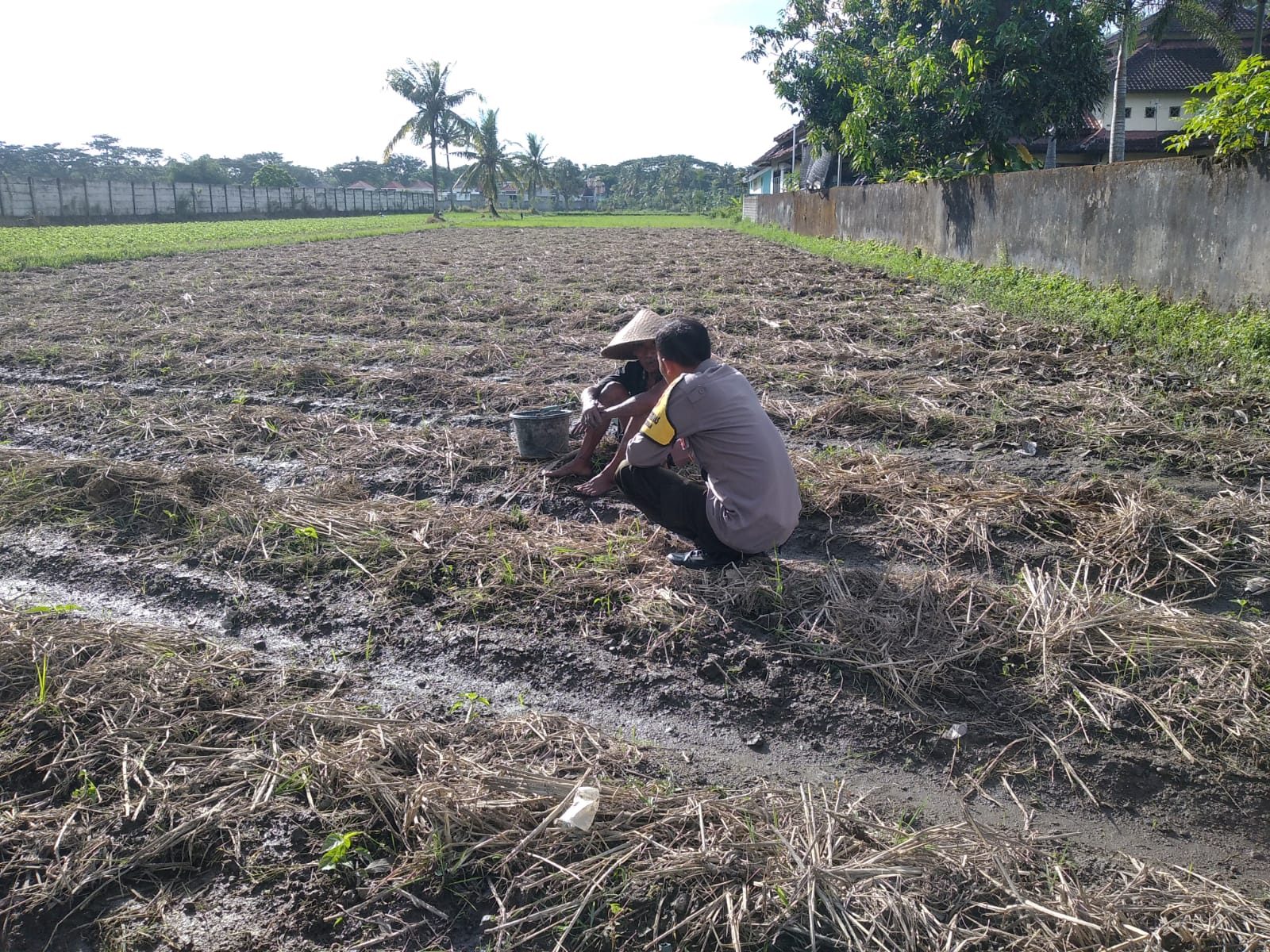Sinergi Polri dan Warga Desa Kuripan Wujudkan Ketahanan Pangan Mandiri