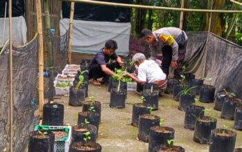 Bhabinkamtibmas Dorong Ketahanan Pangan Rumah Tangga di Lombok Barat
