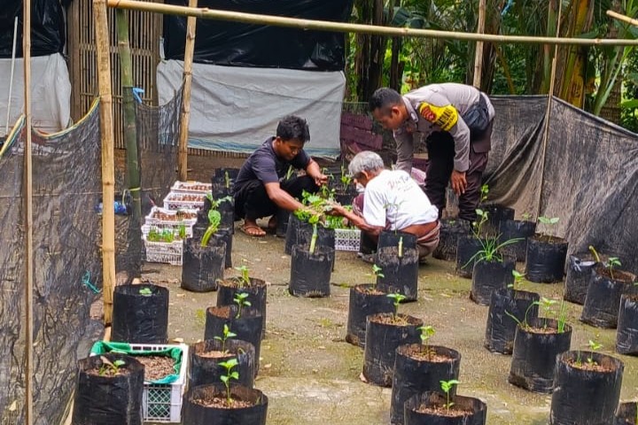 Bhabinkamtibmas Dorong Ketahanan Pangan Rumah Tangga di Lombok Barat