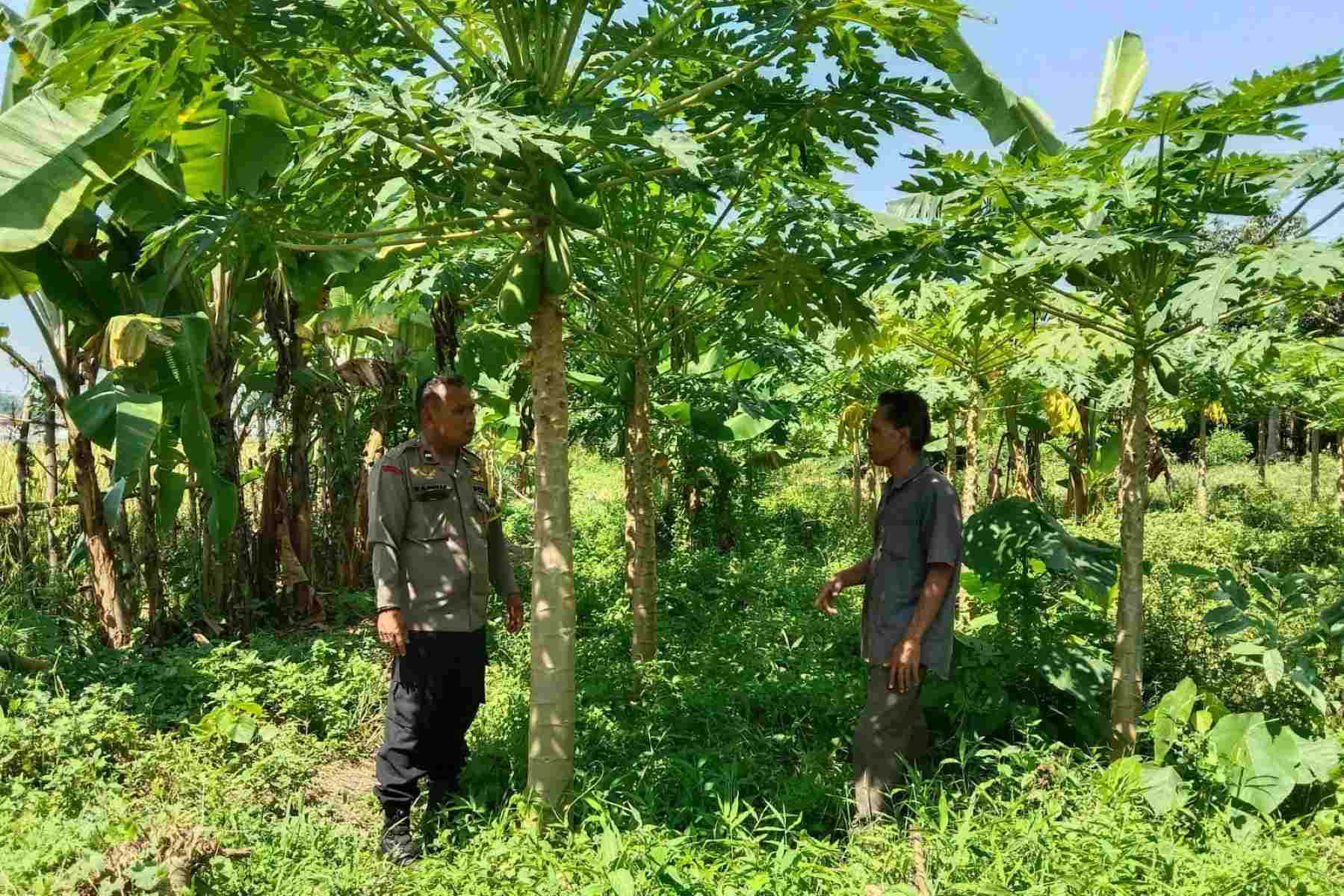 Peran Bhabinkamtibmas dalam Pemberdayaan Lahan Pertanian