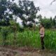 Bhabinkamtibmas Dorong Pemanfaatan Pekarangan Demi Ketahanan Pangan Desa