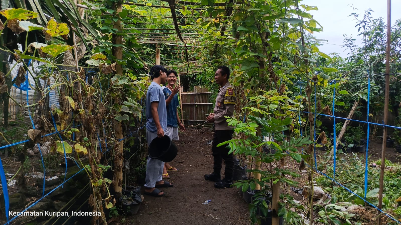Polisi dan Pemuda Bersinergi Dukung Ketahanan Pangan di Kuripan Utara