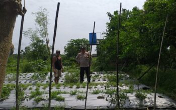 Sinergi Polri dan Warga Tingkatkan Ketahanan Pangan di Lombok Barat