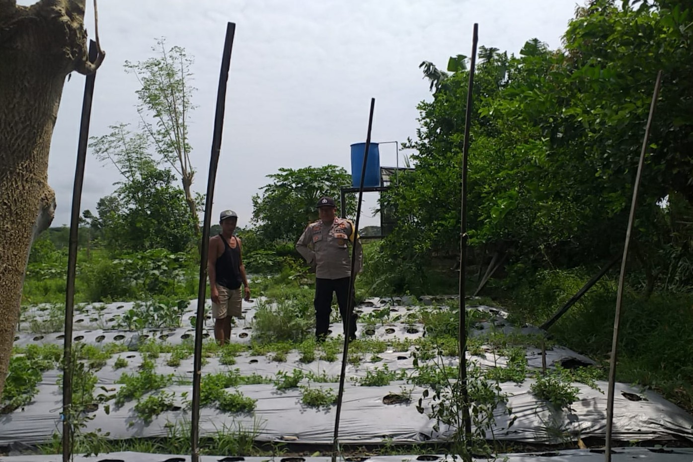 Sinergi Polri dan Warga Tingkatkan Ketahanan Pangan di Lombok Barat