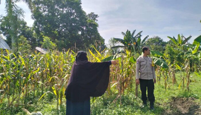 Peran Strategis Bhabinkamtibmas dalam Penguatan Ketahanan Pangan Lokal