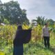 Peran Strategis Bhabinkamtibmas dalam Penguatan Ketahanan Pangan Lokal