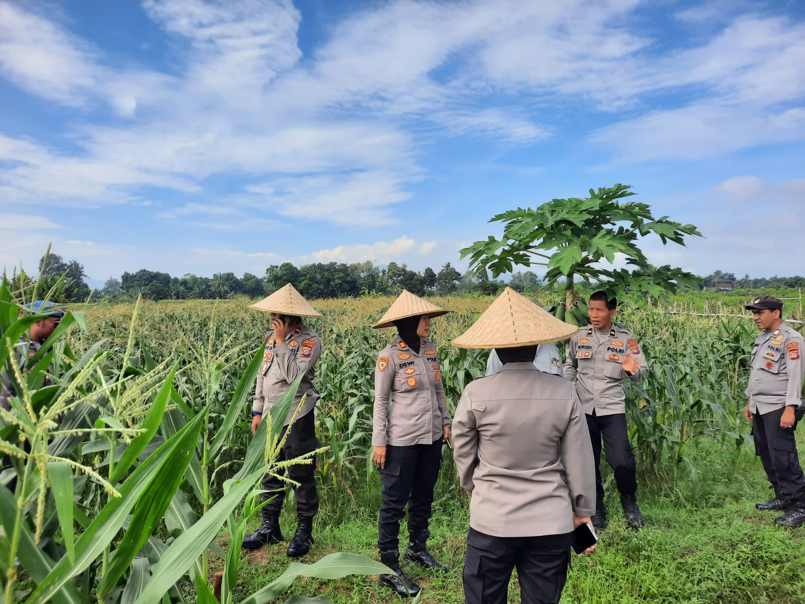 Pengawalan Panen Jagung, Komitmen Polres Lobar Nyata