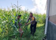 Polri Dorong Ketahanan Pangan Lewat Optimalisasi Lahan Desa