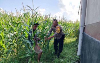 Polri Dorong Ketahanan Pangan Lewat Optimalisasi Lahan Desa