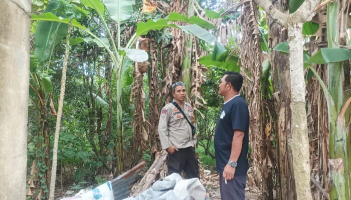 Polsek Batulayar Dorong Warga Manfaatkan Pekarangan untuk Ketahanan Pangan