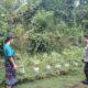 Program Ketahanan Pangan Polsek Batulayar Disambut Antusias Warga