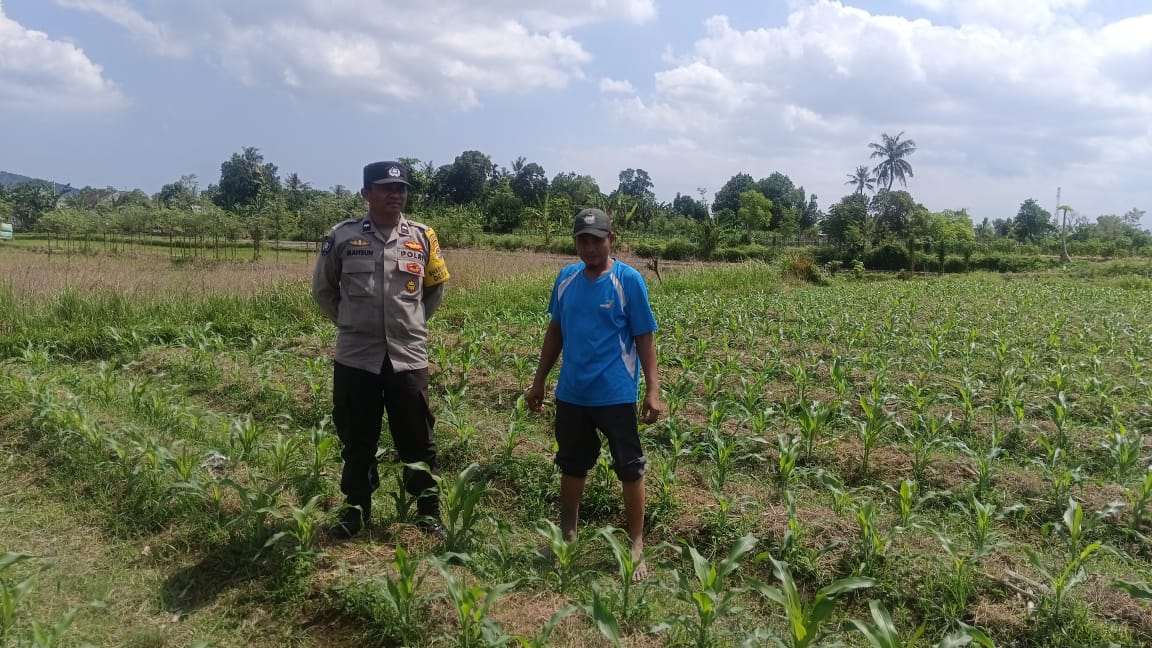 Sinergi Polri dan Kelompok Tani Wujudkan Desa Aman dan Mandiri Pangan