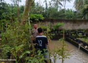 Polsek Kuripan Gandeng Pemuda Wujudkan Kemandirian Pangan Masyarakat
