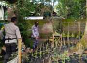 Maksimalkan Lahan Pekarangan, Polsek Kuripan Dukung Program Ketahanan Pangan