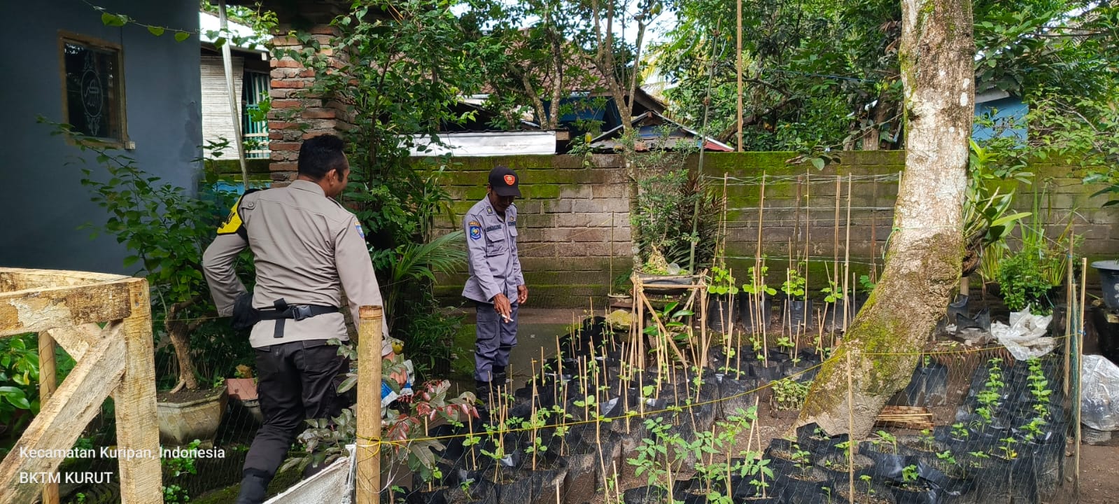 Maksimalkan Lahan Pekarangan, Polsek Kuripan Dukung Program Ketahanan Pangan