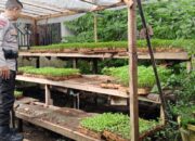 Polsek Labuapi Dukung Program Ketahanan Pangan Melalui Sambang Desa