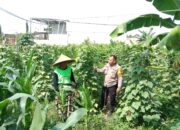 Polsek Labuapi Dorong Ketahanan Pangan Lewat Lahan Pekarangan