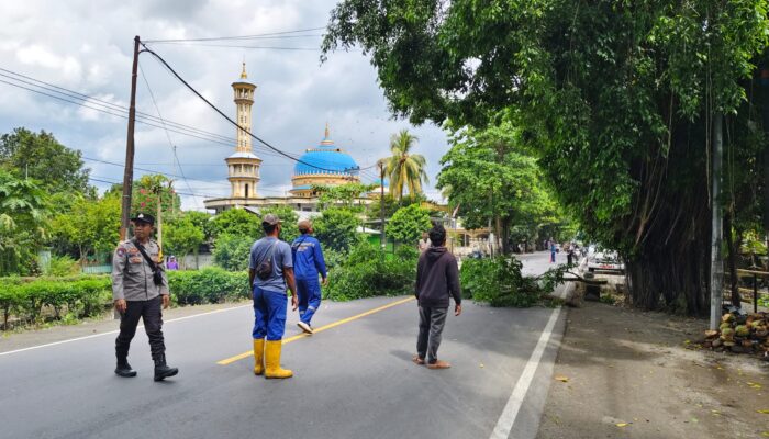 Polsek Lembar Amankan Penertiban Pohon Demi Keselamatan Pengguna Jalan