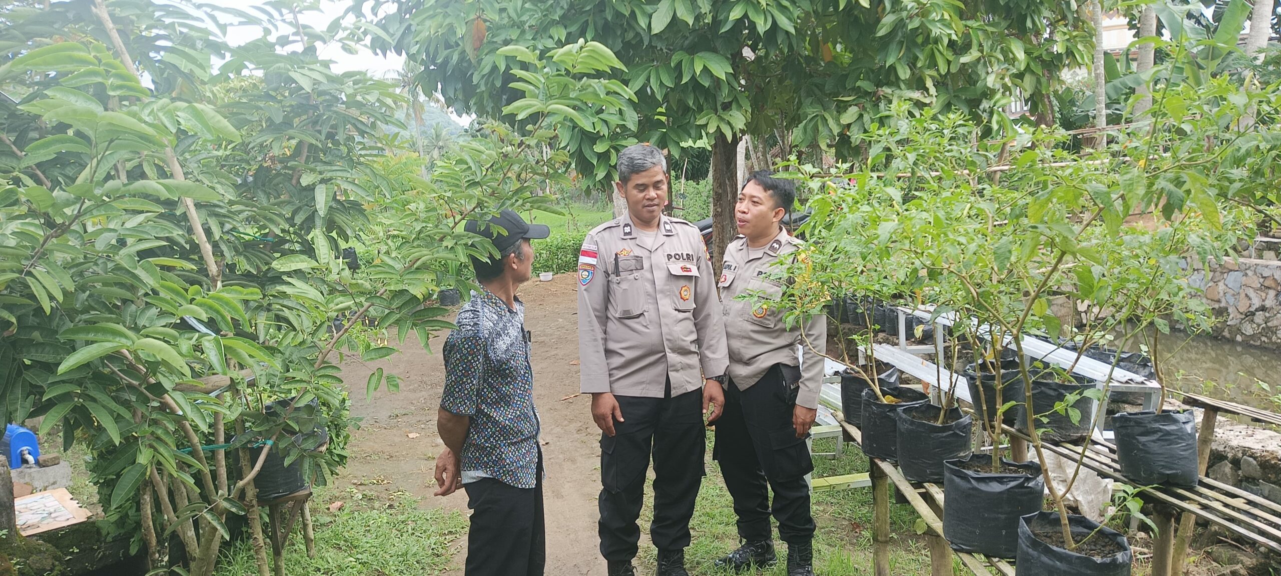 Polsek Sekotong Kawal Program Pekarangan Bergizi, Sinergi dengan Pertanian Tingkatkan Ketahanan Pangan
