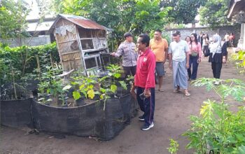 Optimalisasi Pekarangan Rumah Jadi Kunci Ketahanan Pangan Desa Jagaraga