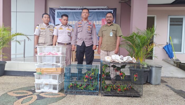81 Burung Ilegal Diamankan di Pelabuhan Lembar, Satu Jenis Dilindungi