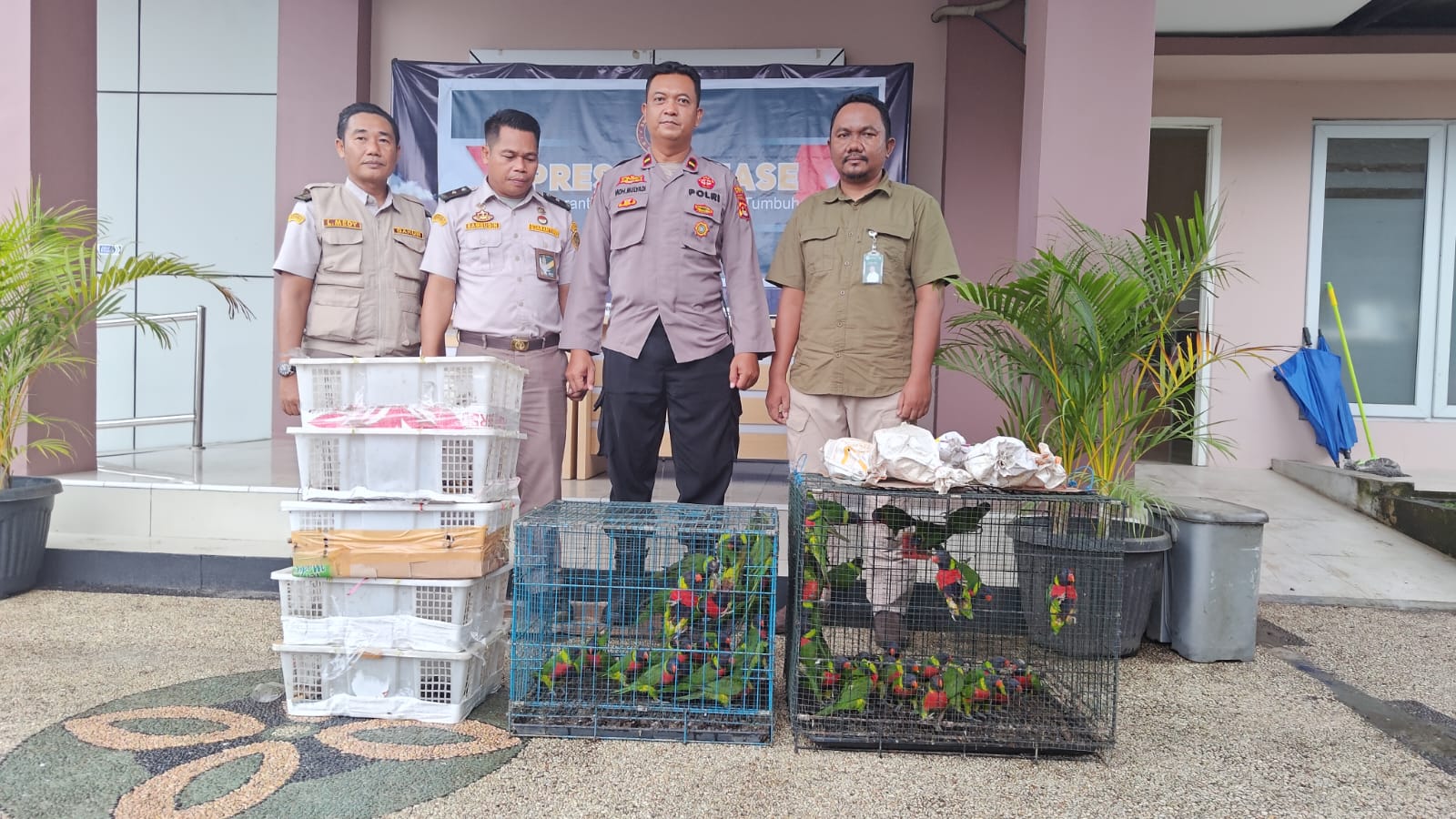 81 Burung Ilegal Diamankan di Pelabuhan Lembar, Satu Jenis Dilindungi