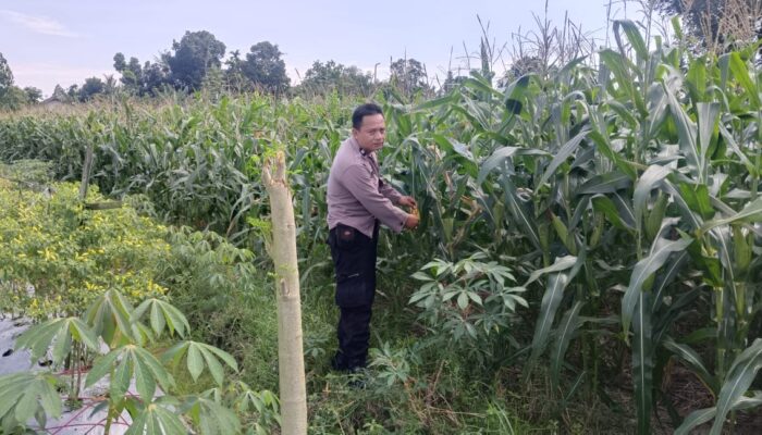 Sinergi Polri dan Petani: Jaga Kamtibmas dan Dukung Ketahanan Pangan