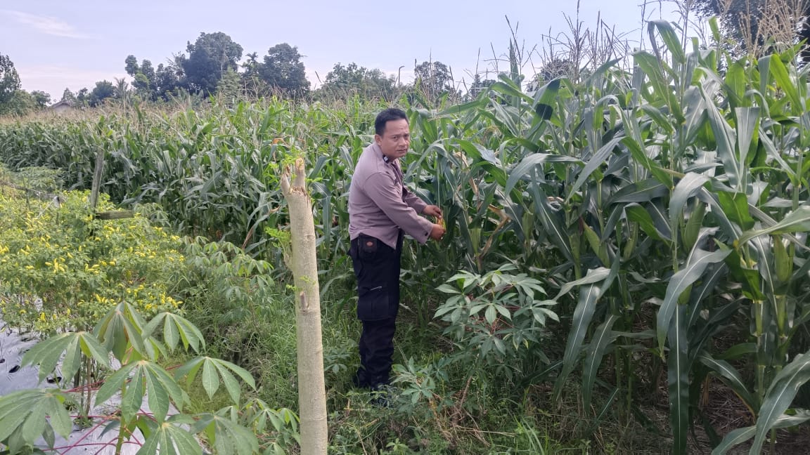 Sinergi Polri dan Petani Jaga Kamtibmas dan Dukung Ketahanan Pangan