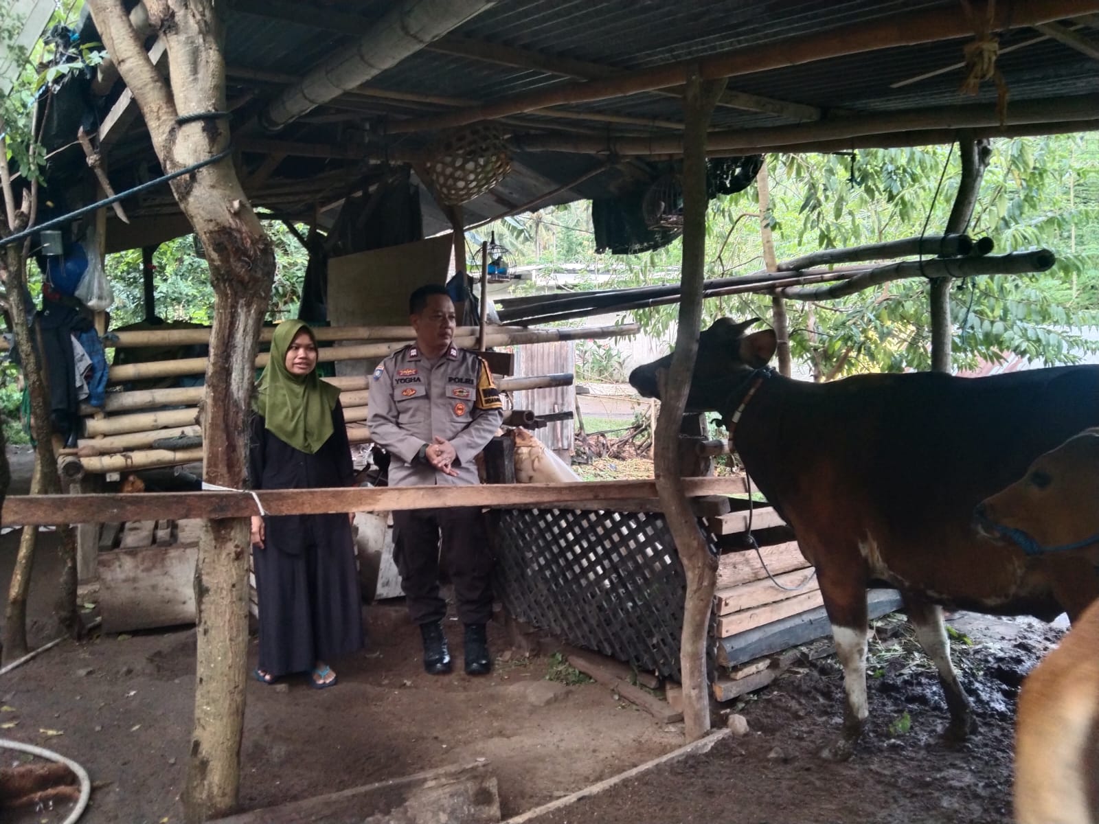 Ketahanan Pangan Lokal: Inisiatif Polsek Batulayar dan Masyarakat