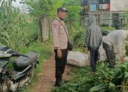 Bhabinkamtibmas Dampingi Panen Jagung di Ombe Baru Dukung Swasembada Pangan