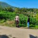 Bhabinkamtibmas Dampingi Petani Jagung di Mareje Timur, Lembar
