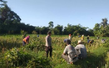 Inisiatif Ketahanan Pangan di Dusun Tambang Eleh Dapat Dukungan Polri