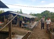 Bhabinkamtibmas Dorong Ketahanan Pangan di Dusun Merembu Tengah