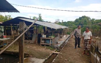 Bhabinkamtibmas Dorong Ketahanan Pangan di Dusun Merembu Tengah
