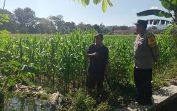 Bhabinkamtibmas Gerung Selatan Perkuat Ketahanan Pangan dan Kamtibmas Melalui Silaturahmi