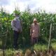 Bhabinkamtibmas Jagaraga Gencarkan Program Ketahanan Pangan, Warga Siap Panen Jagung Manis