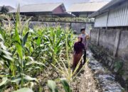 Bhabinkamtibmas Labuapi Dorong Pemanfaatan Lahan Demi Ketahanan Pangan