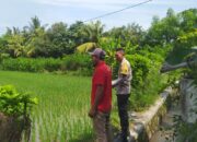 Bhabinkamtibmas Sekotong Dukung Swasembada Pangan di Batu Putih