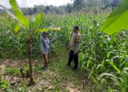 Bhabinkamtibmas Sekotong Timur Dampingi Petani Dukung Ketahanan Pangan