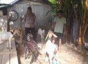 Bhabinkamtibmas Dorong Ketahanan Pangan di Desa Senggigi