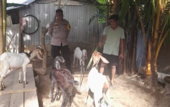 Bhabinkamtibmas Dorong Ketahanan Pangan di Desa Senggigi