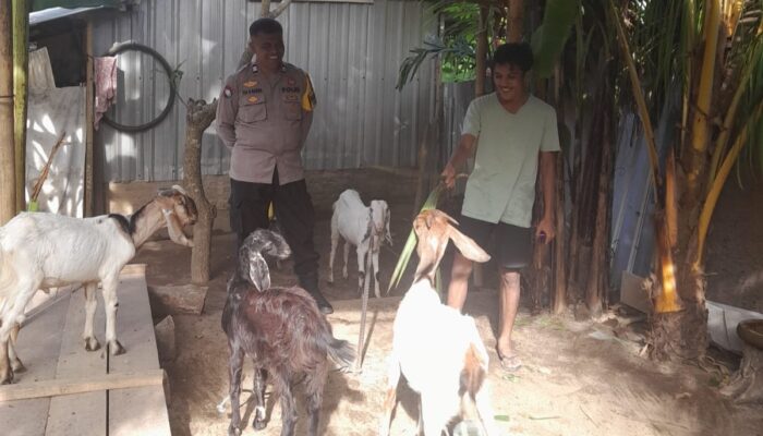 Bhabinkamtibmas Dorong Ketahanan Pangan di Desa Senggigi