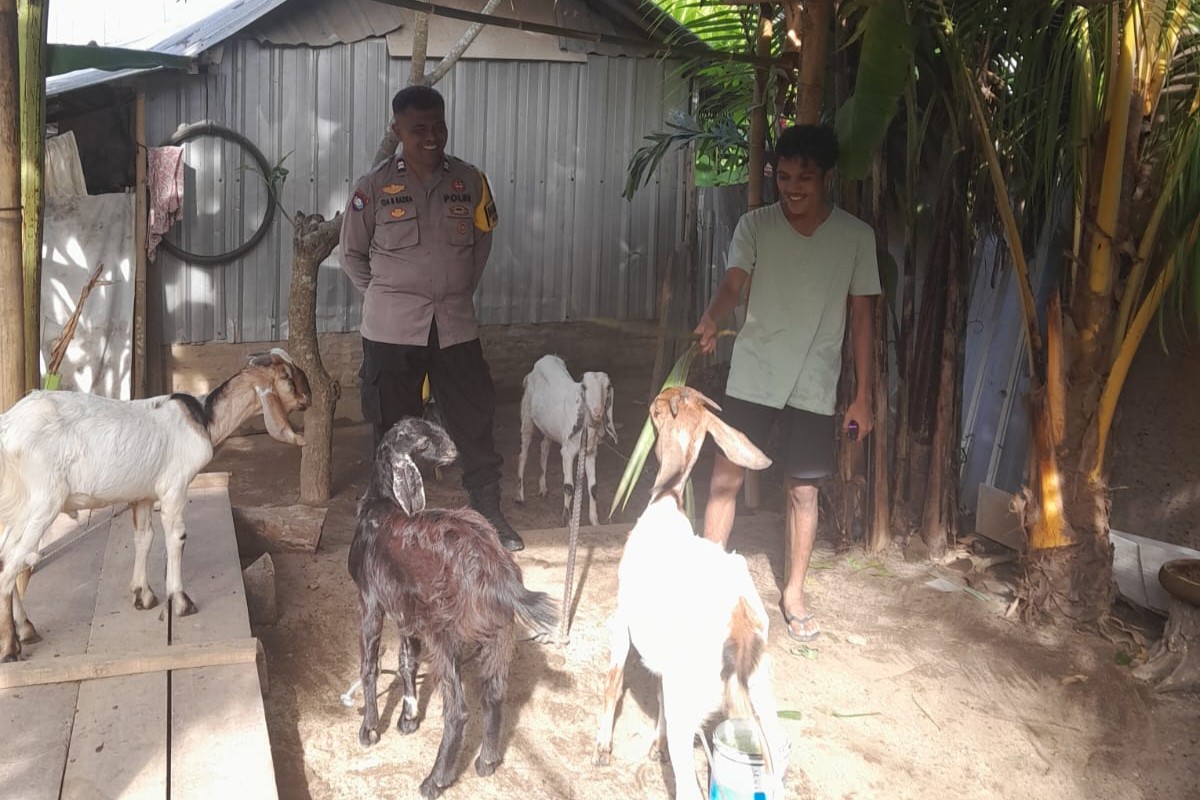 Bhabinkamtibmas Dorong Ketahanan Pangan di Desa Senggigi