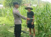 Optimalisasi Lahan Warga, Bhabinkamtibmas di Sekotong Dorong Swasembada