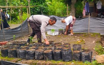 Ketahanan Pangan Dimulai dari Pekarangan: Inisiatif Polri di Kuripan