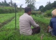 Dari Silaturahmi ke Swasembada Polri dan Warga Montong Are Bersinergi